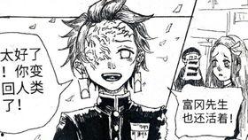 祢豆子变成人类视频,奇幻之旅的奇幻转折